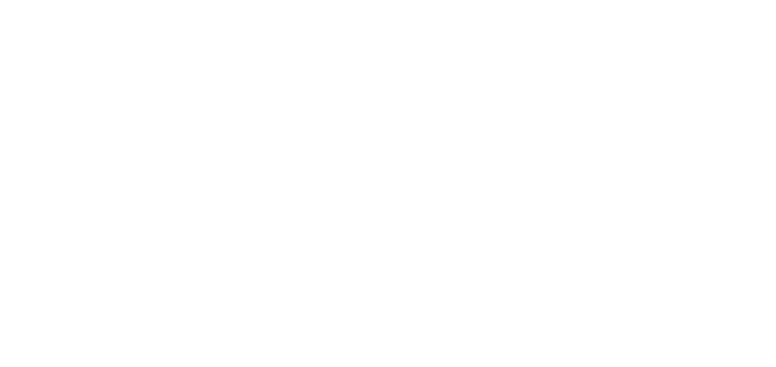 Fielys bond｜絆を育む那須のフィールドスパニエル専門の犬舎